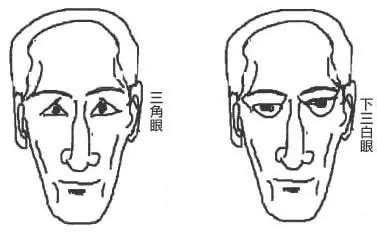 聳鼻|劉恒解讀面相：“孤峰獨聳”的人命運會怎樣？